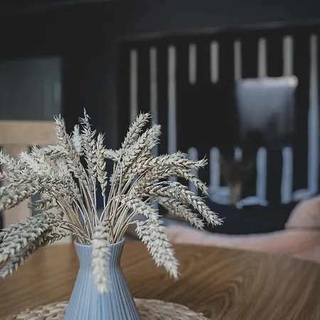 דירה Maximar With Sauna