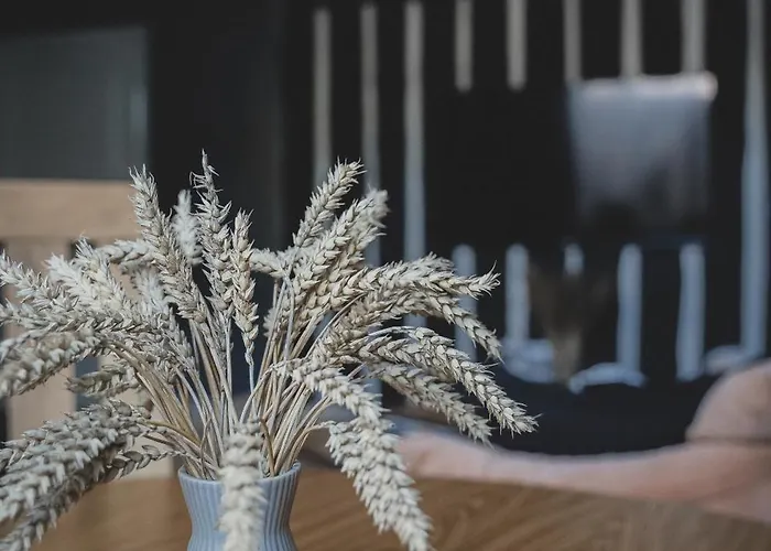 Apartament Maximar With Sauna